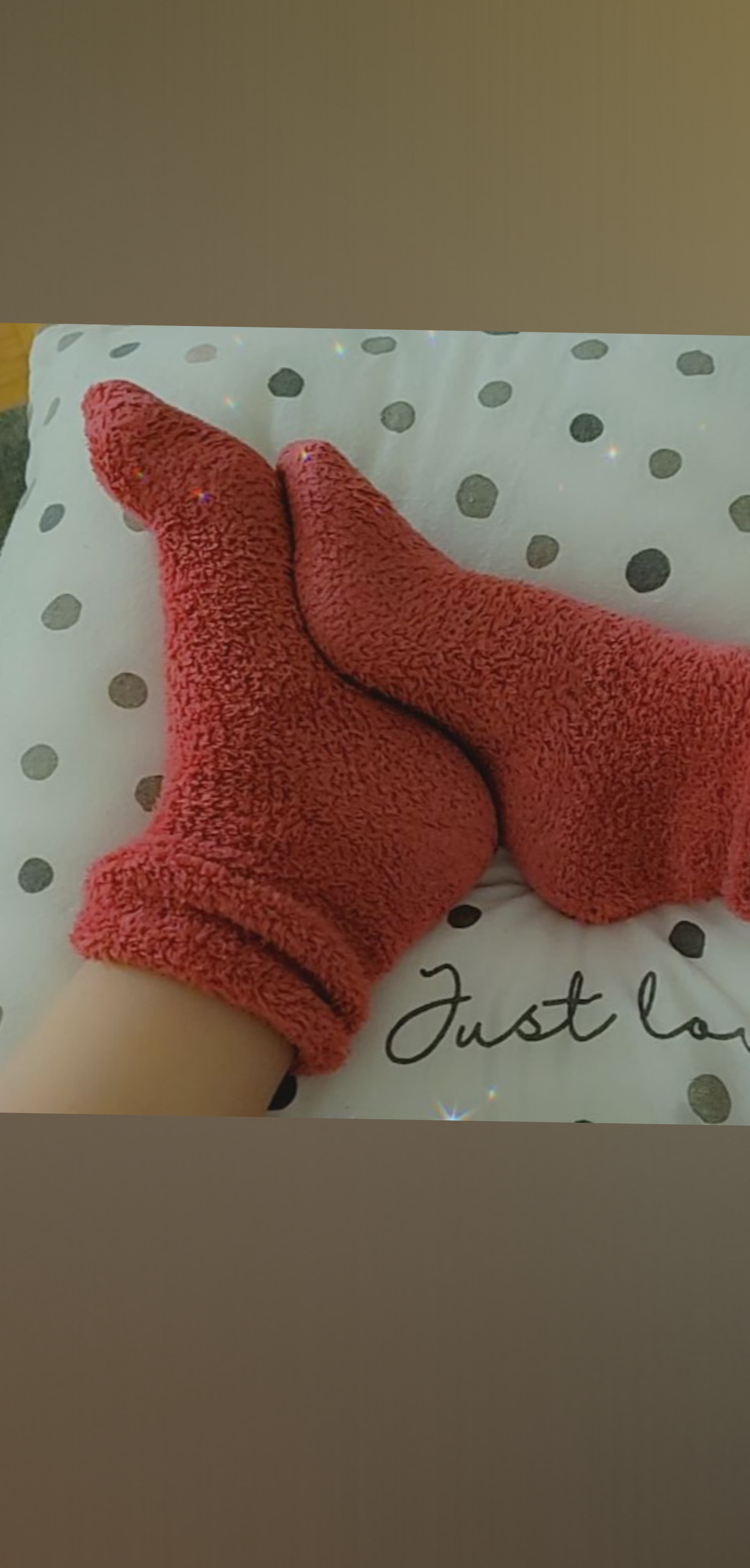 Taliefeet banner image