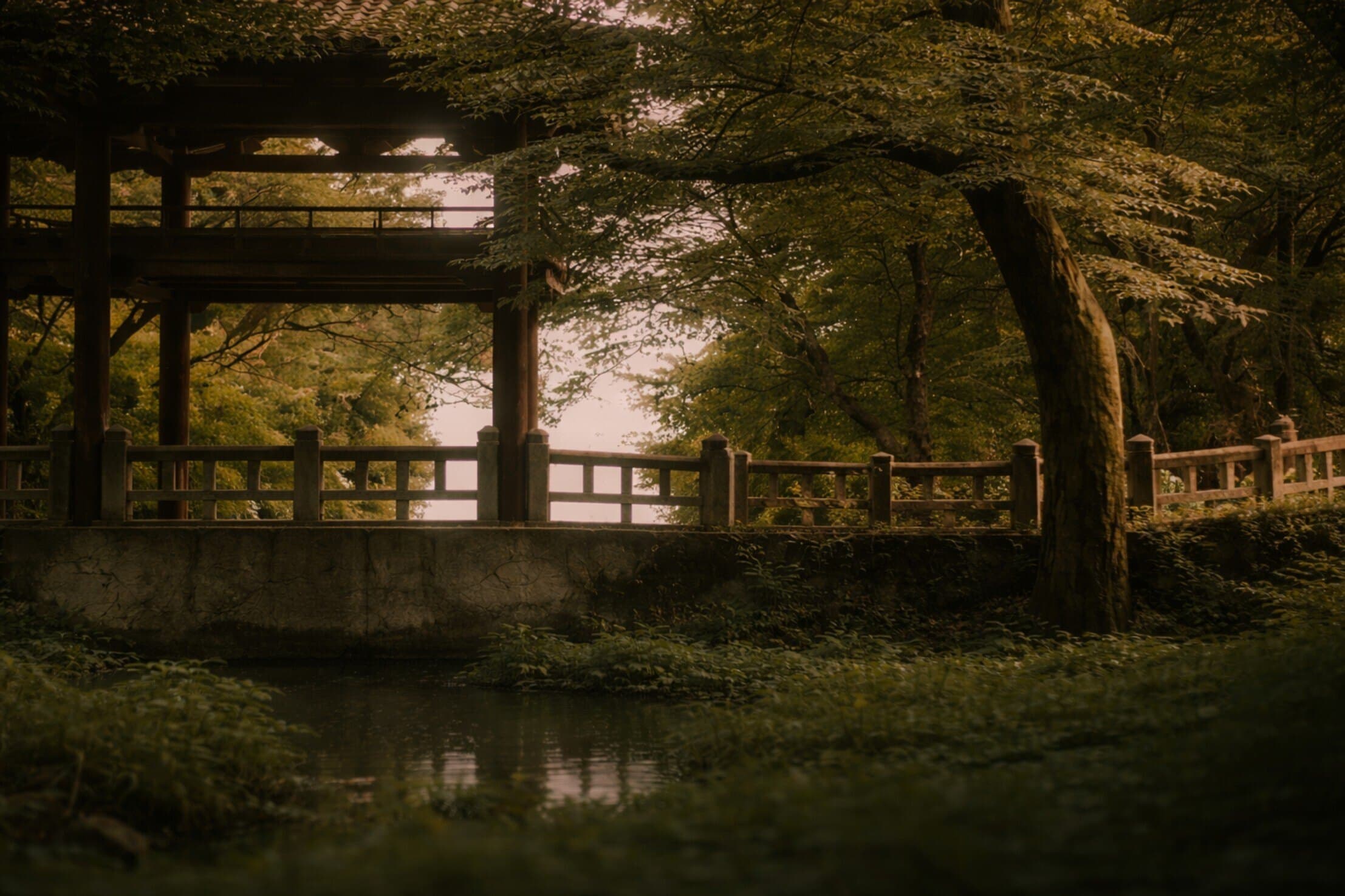 Asian Rose banner image