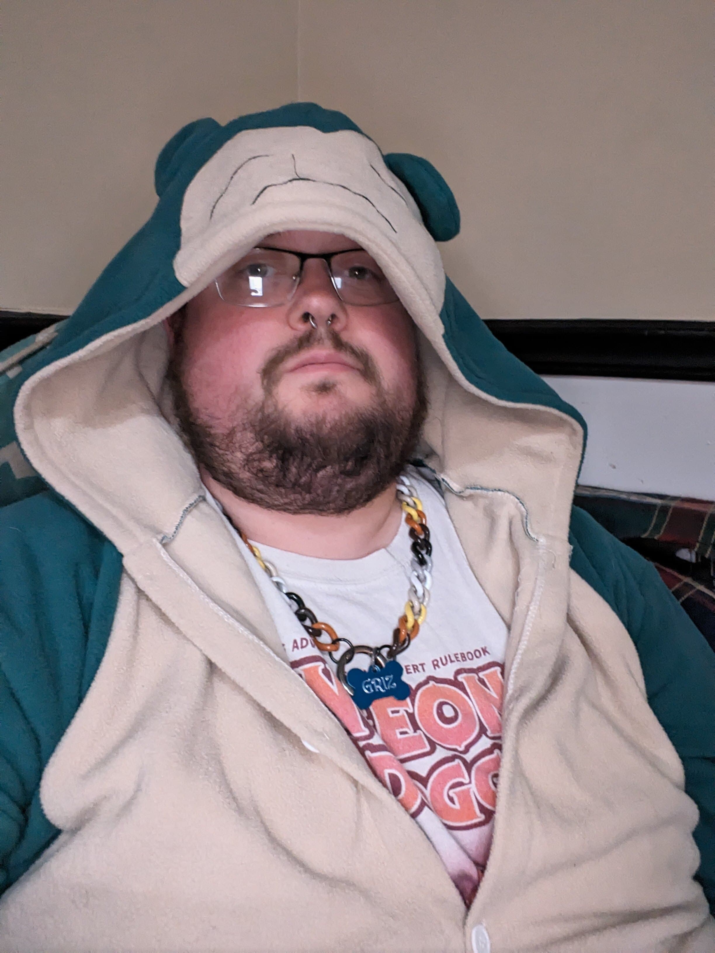 Cyberbigbear banner image