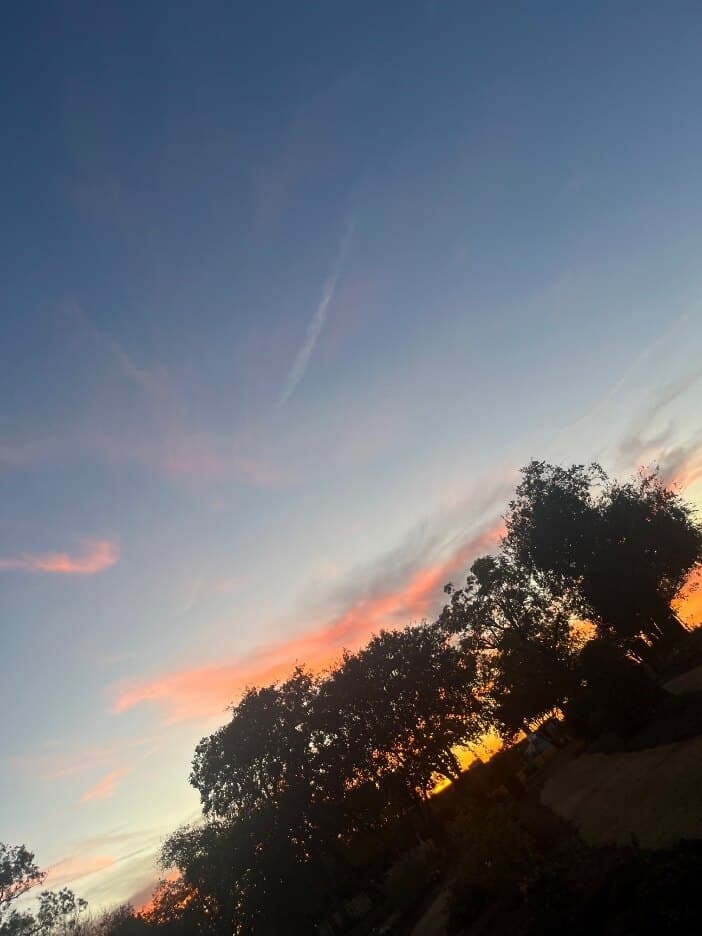 therealbribri banner image