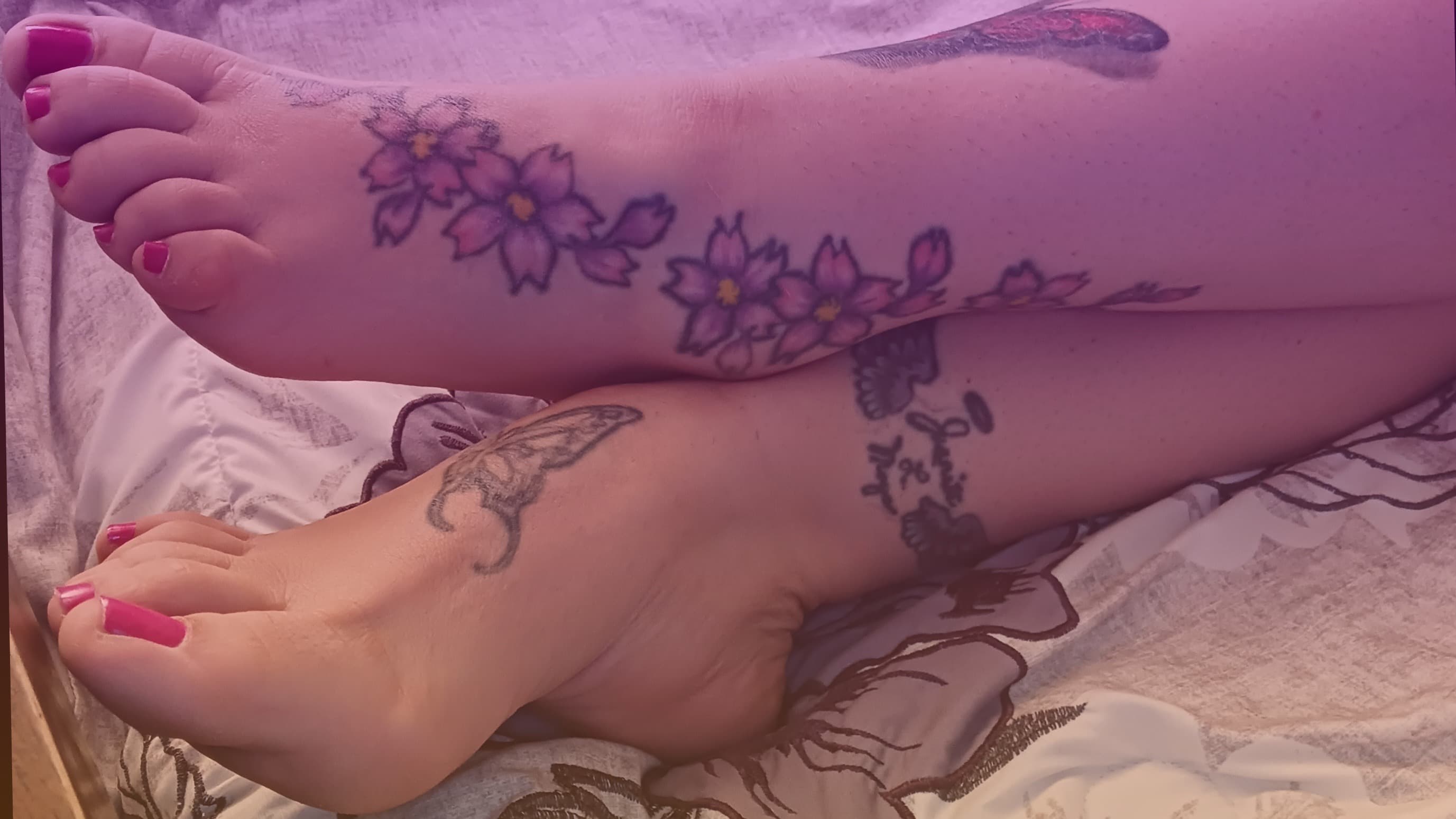 ❤️🖤Tattooed Harley🖤❤ banner image