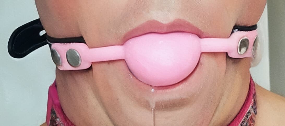 Sissy in Bondage banner image