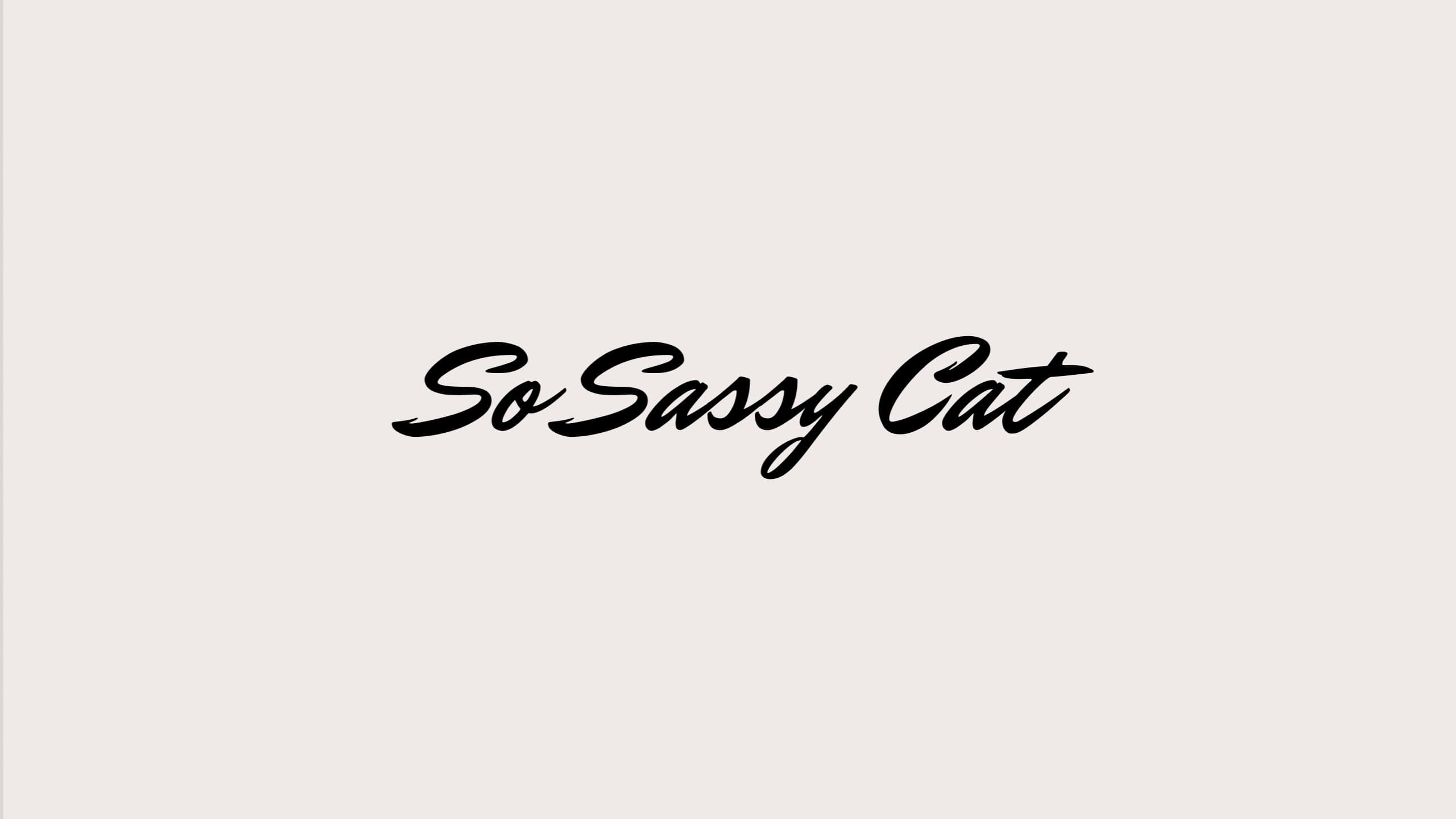 Sosassycat banner image