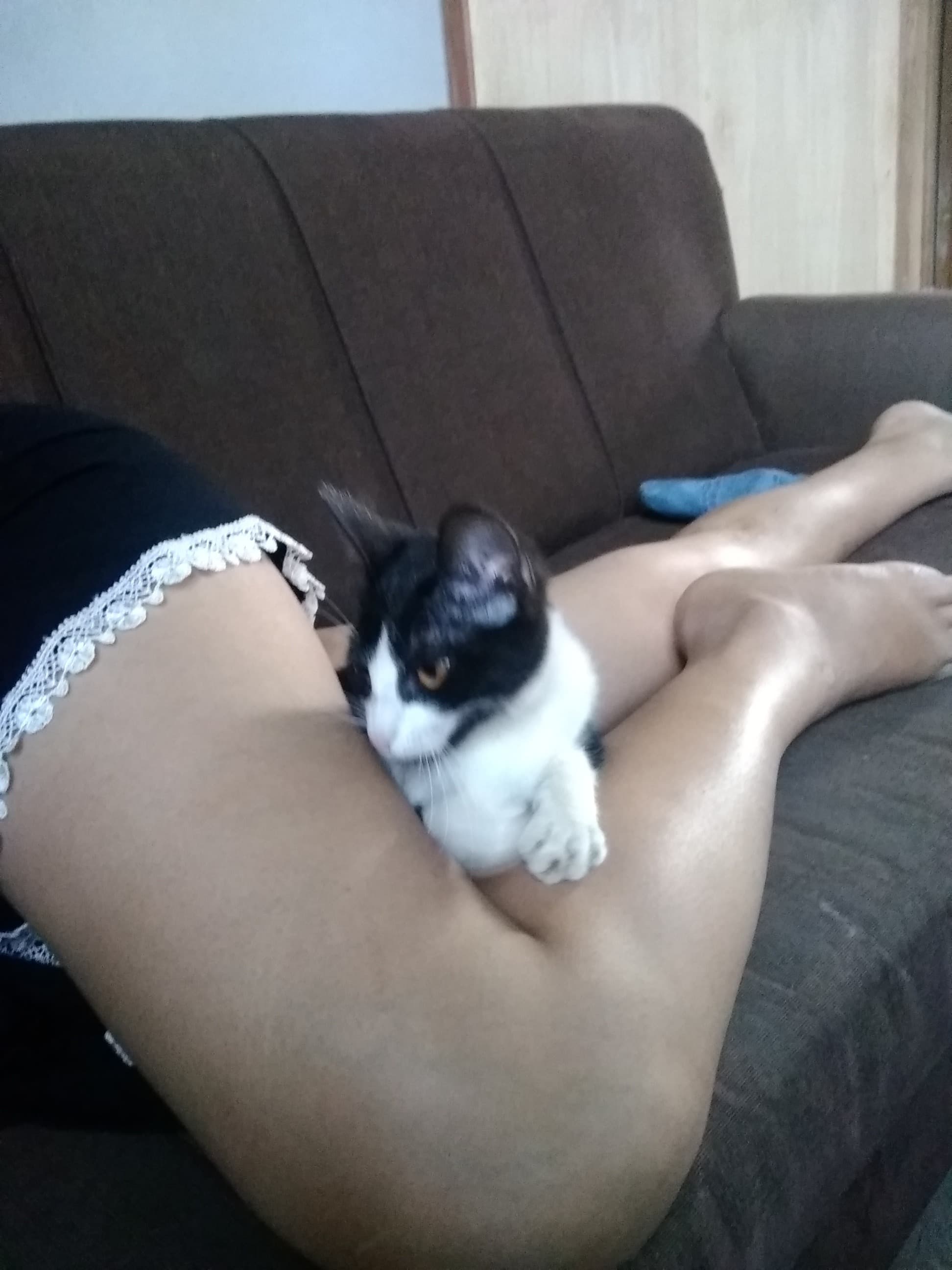 Naty banner image