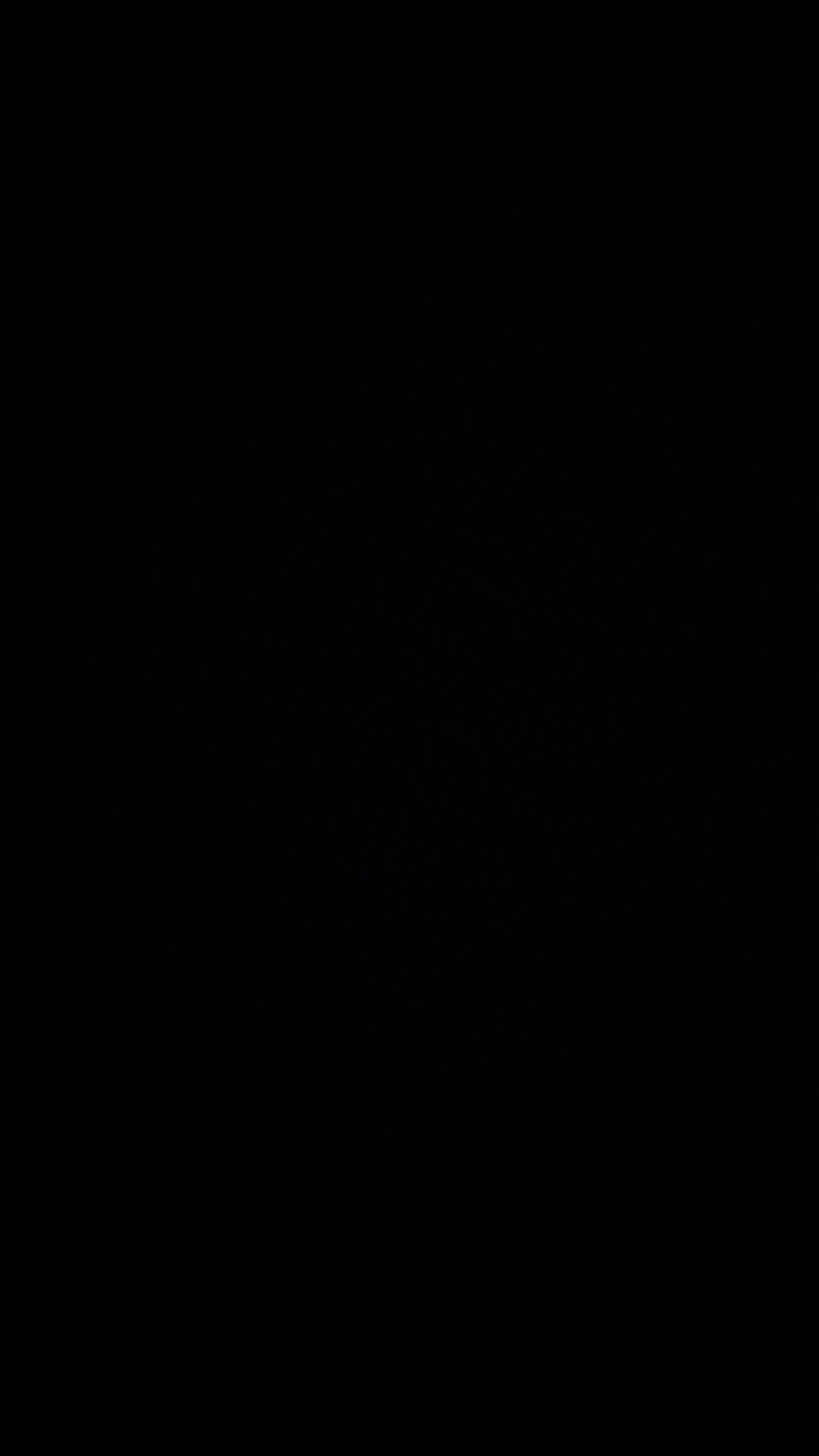 Laura Falcão banner image