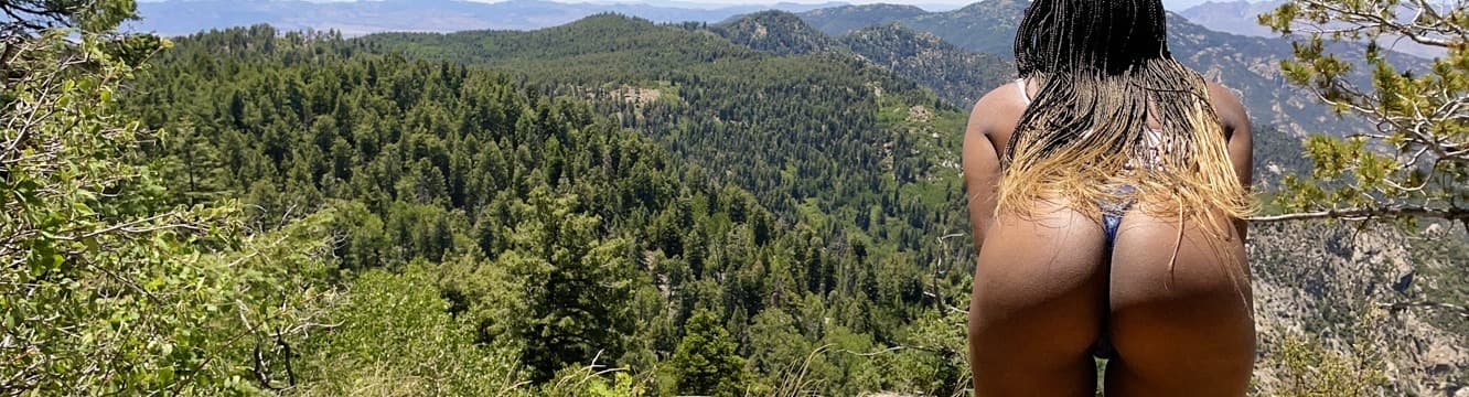 Juniper banner image