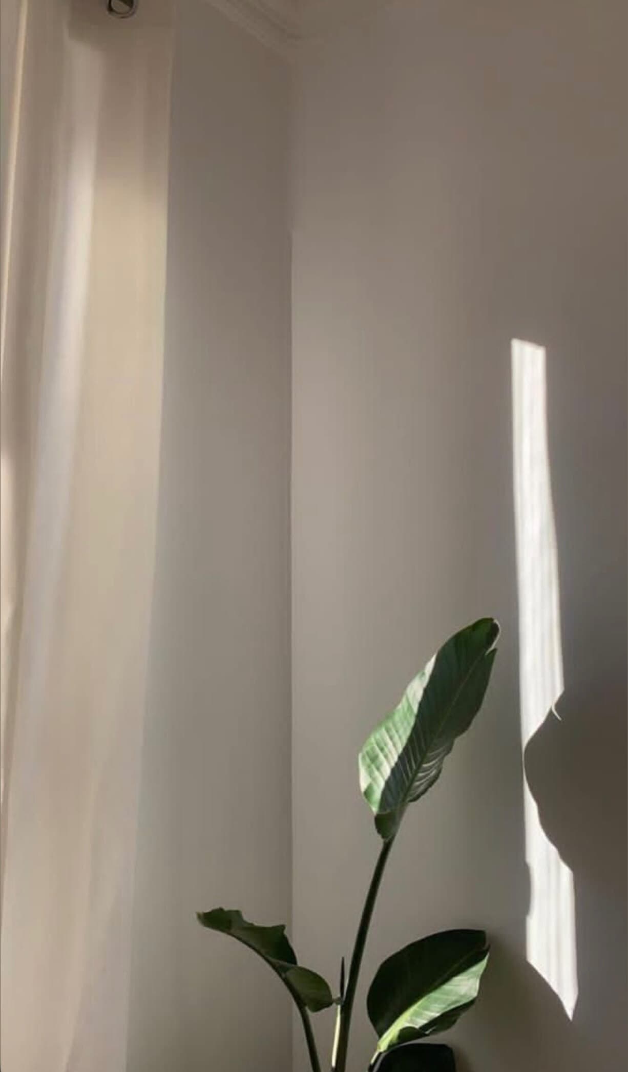 Charlotte Louise🫦 banner image