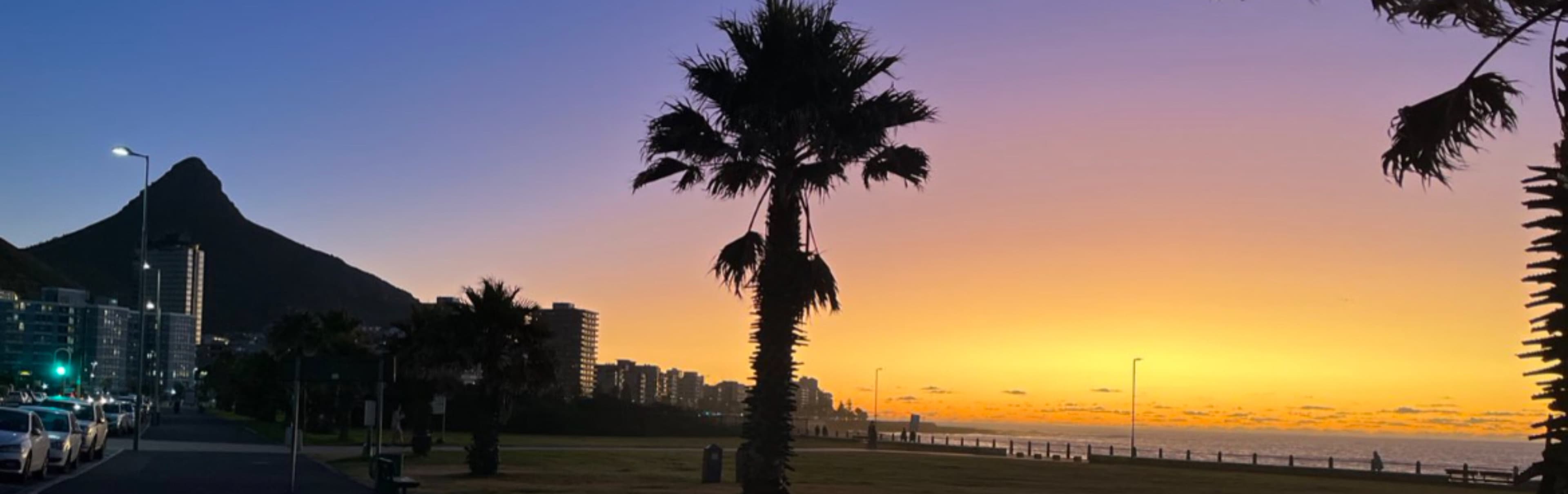 Beach Babe banner image