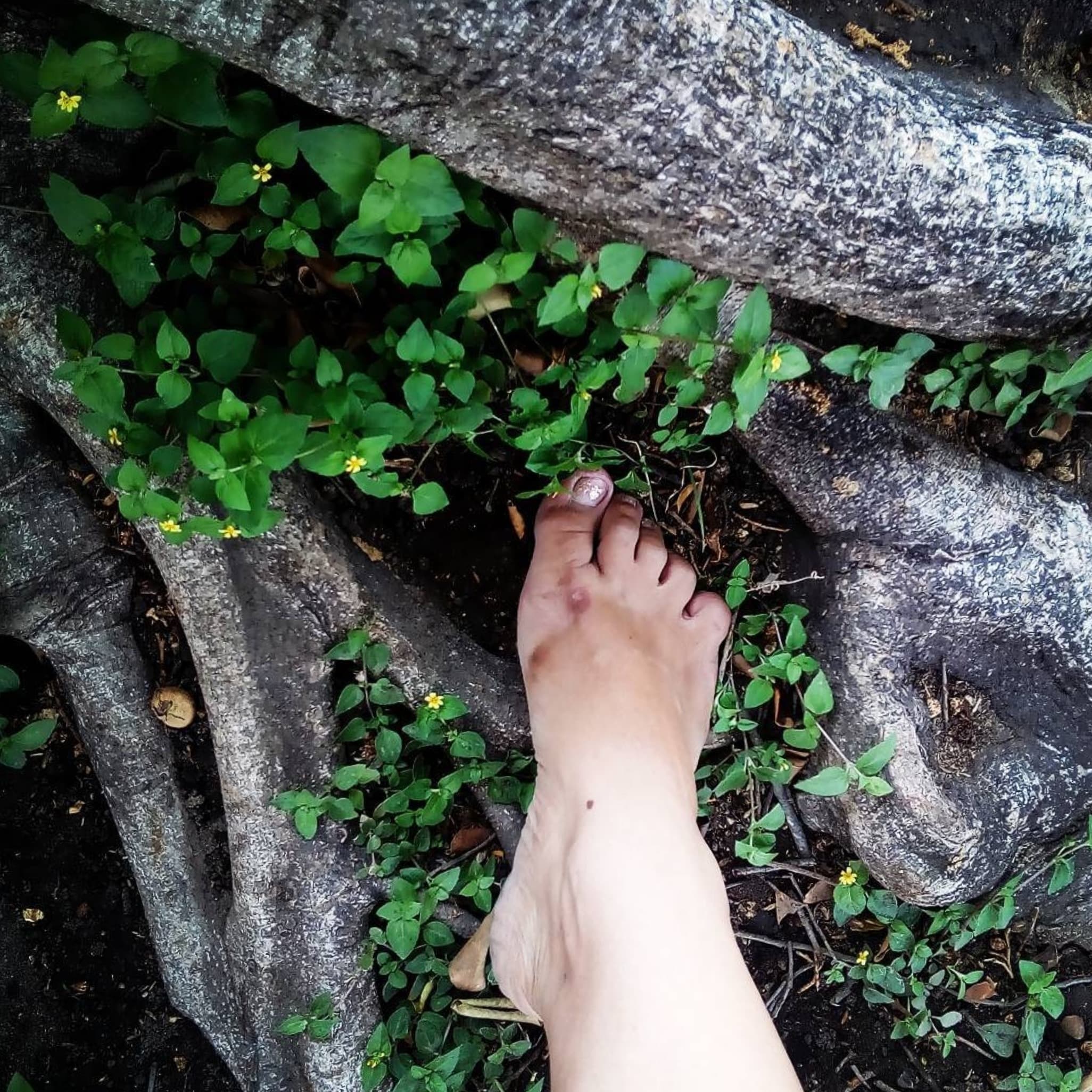 Feet Dancer banner image