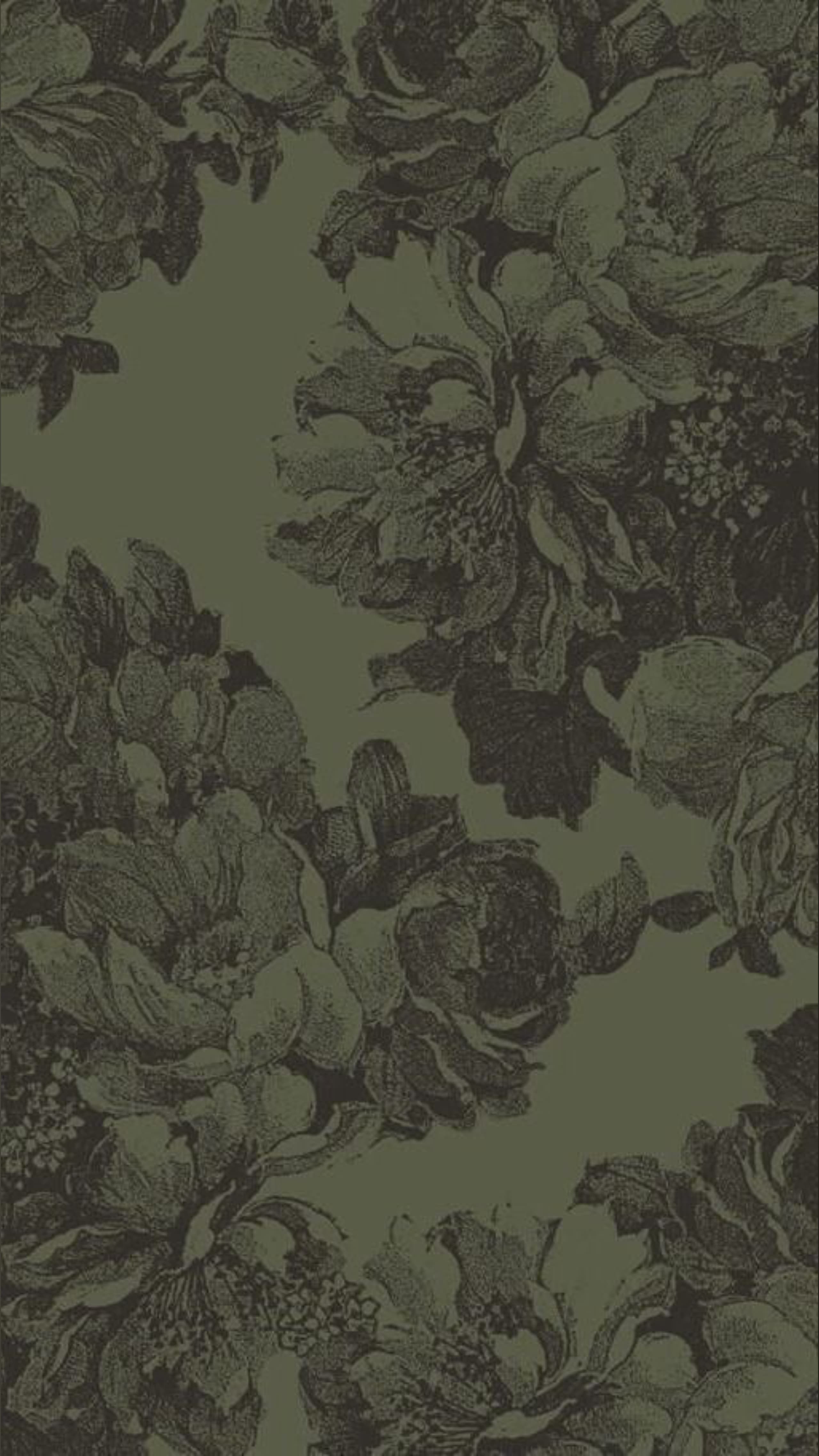 Little Amour banner image