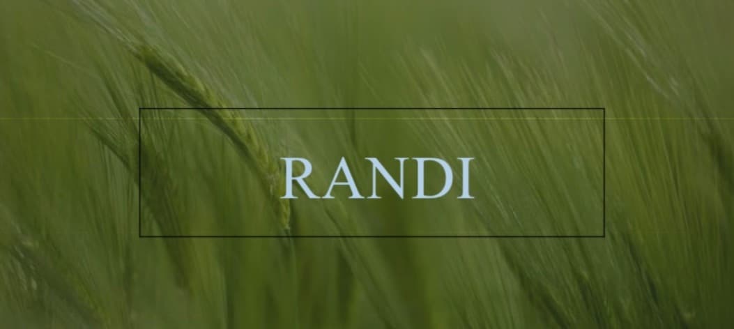 Randi Montgomery banner image