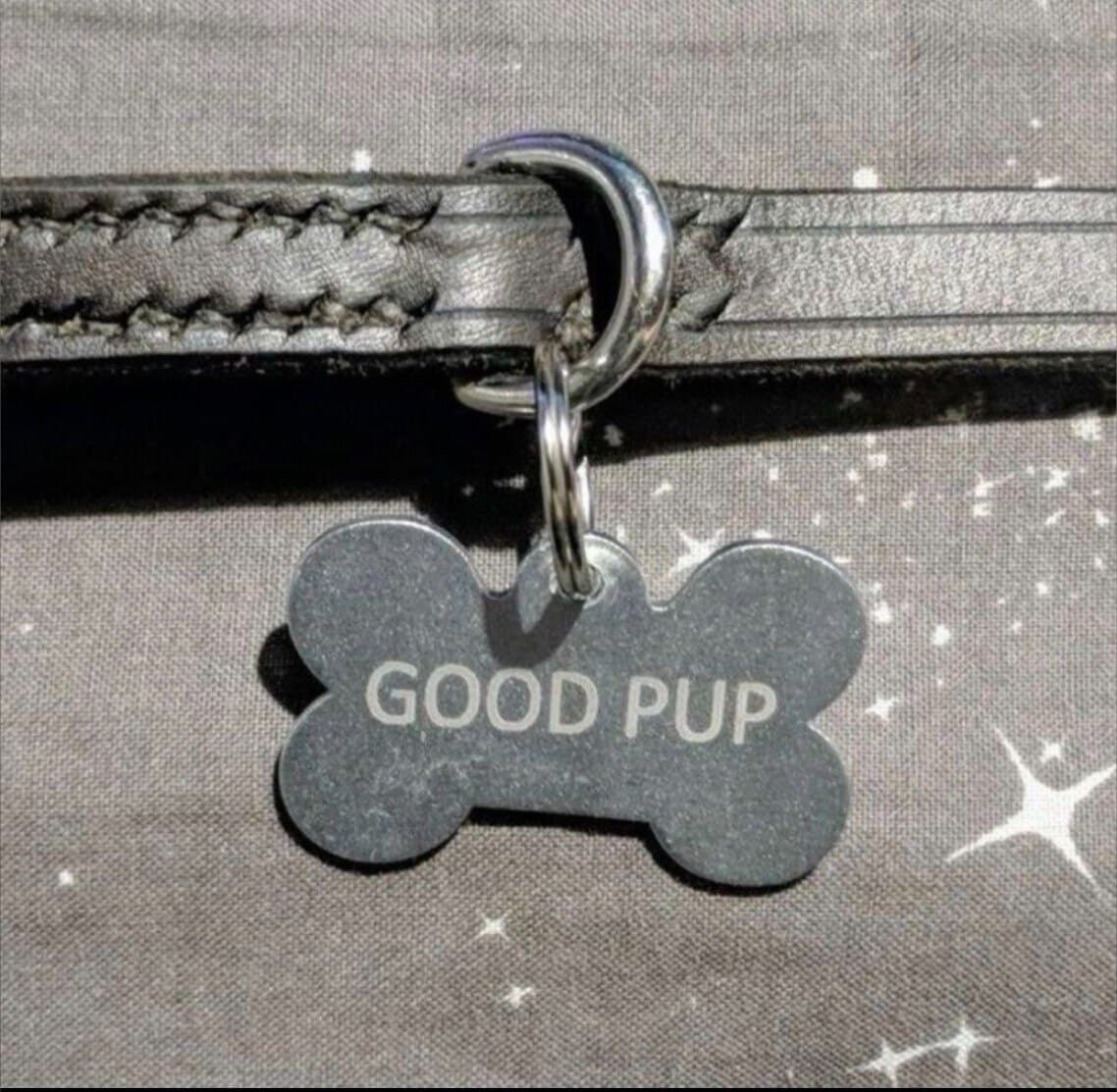 Puppy_Dany banner image