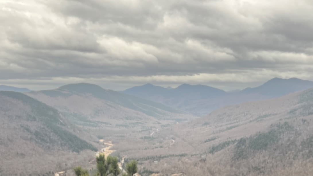 Shell_Bell12 banner image