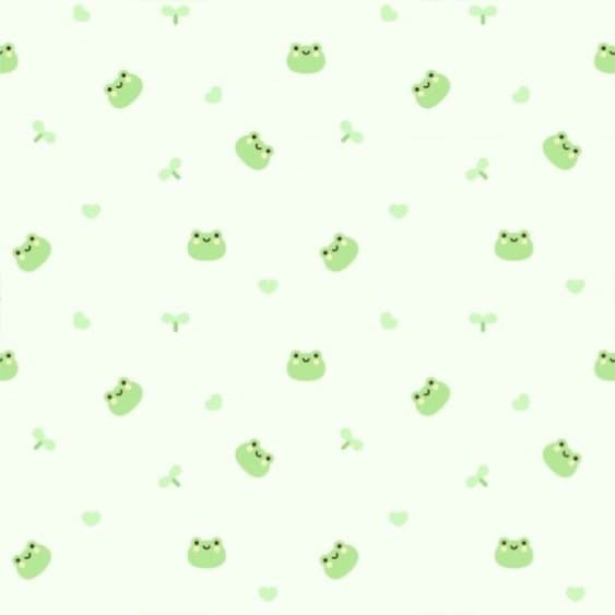 midori banner image