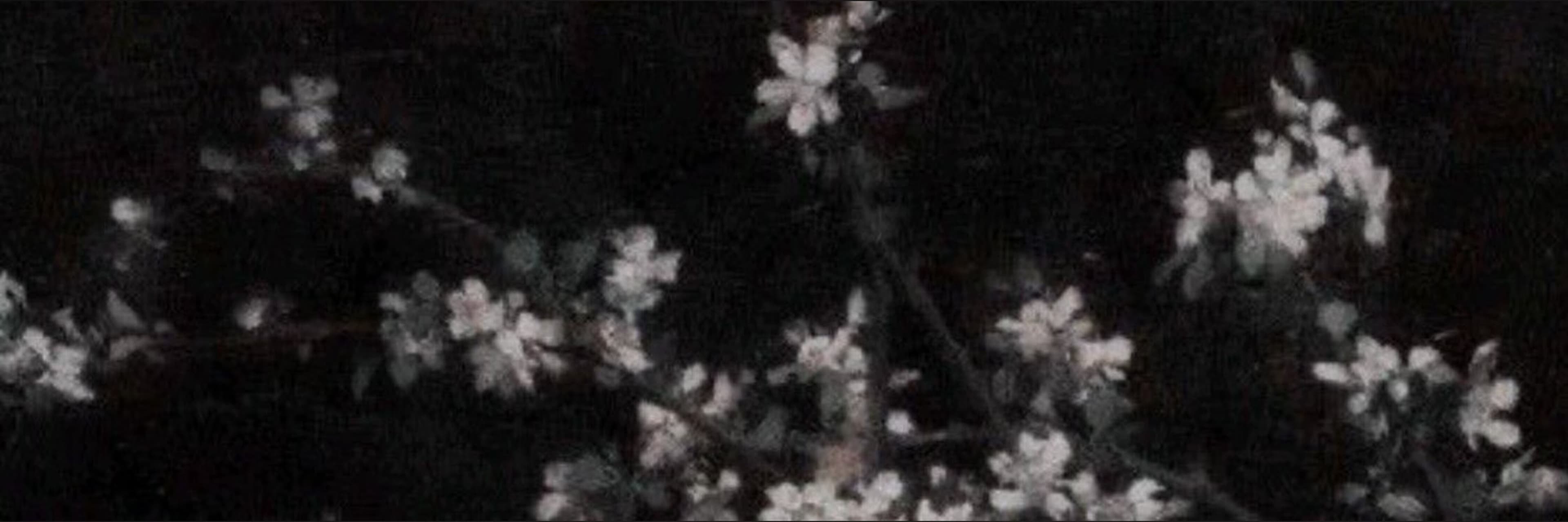♡ kay banner image