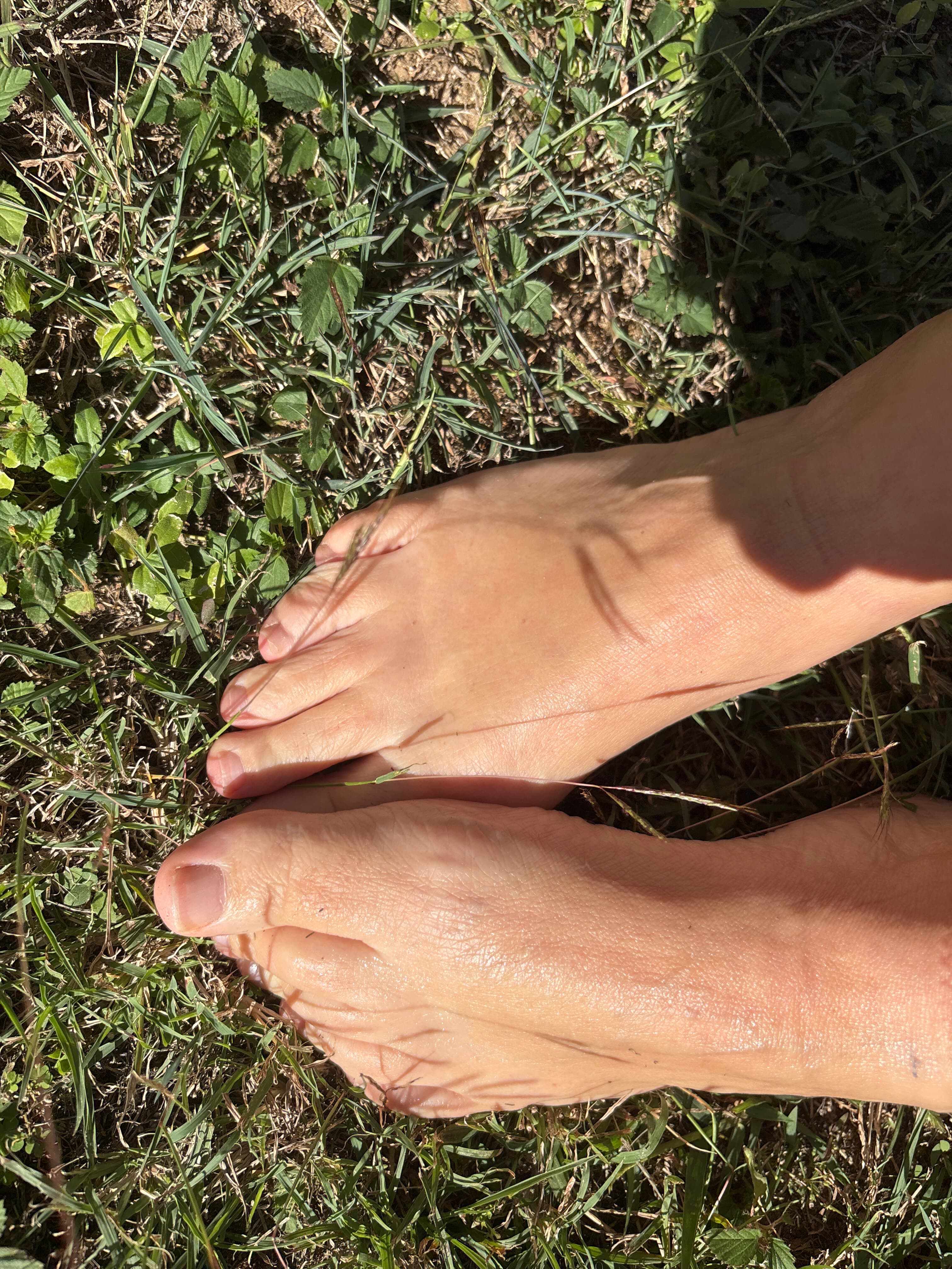 Fab Feet banner image