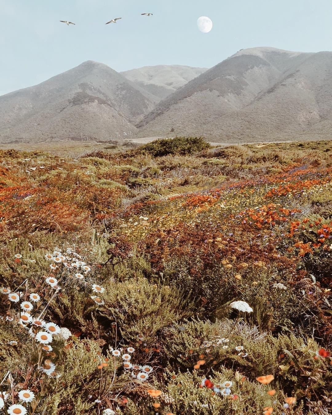 poutygal ♡ banner image