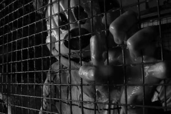 Dan banner image