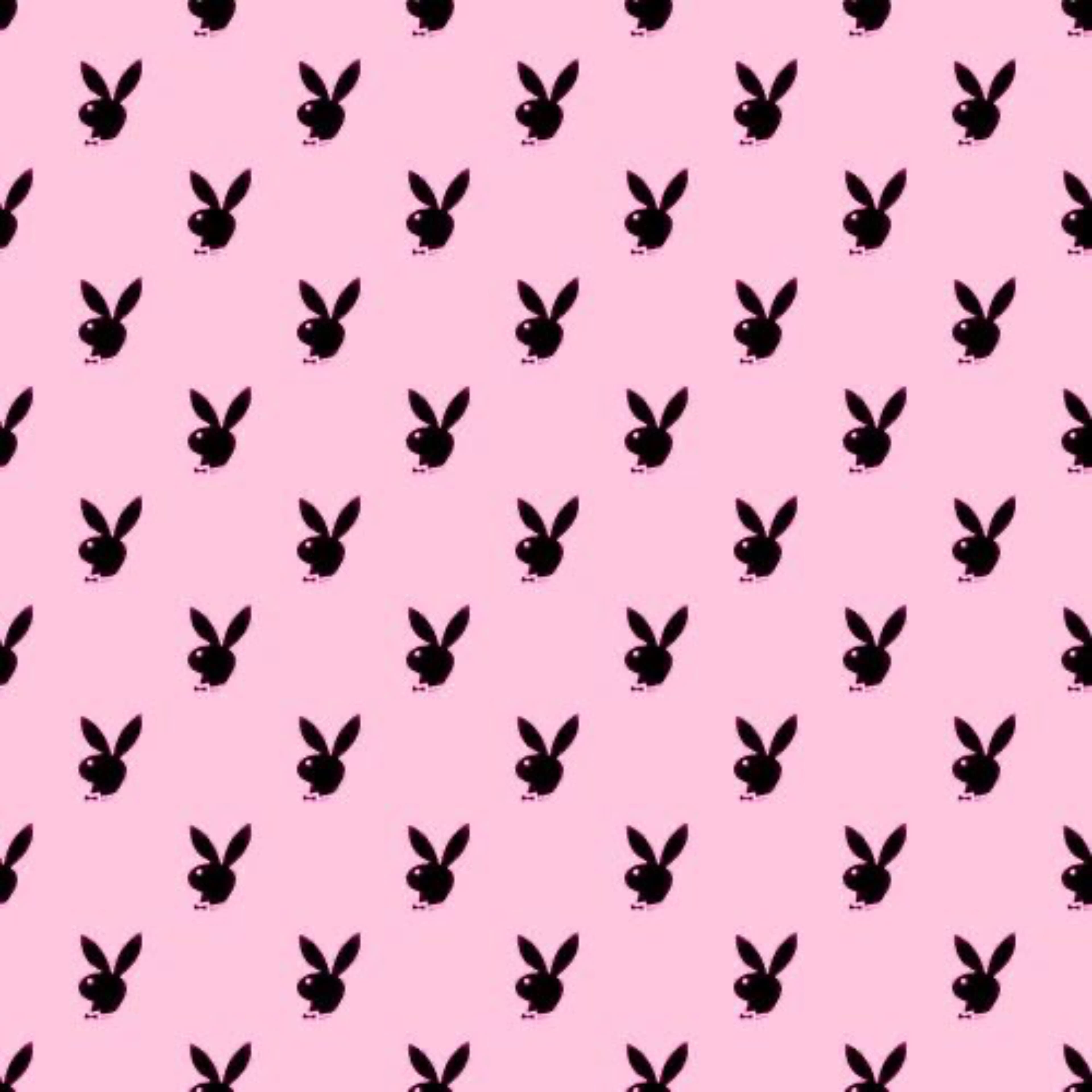 💕Hxneybby🍯💦 banner image