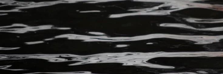 Bareebunnyy banner image