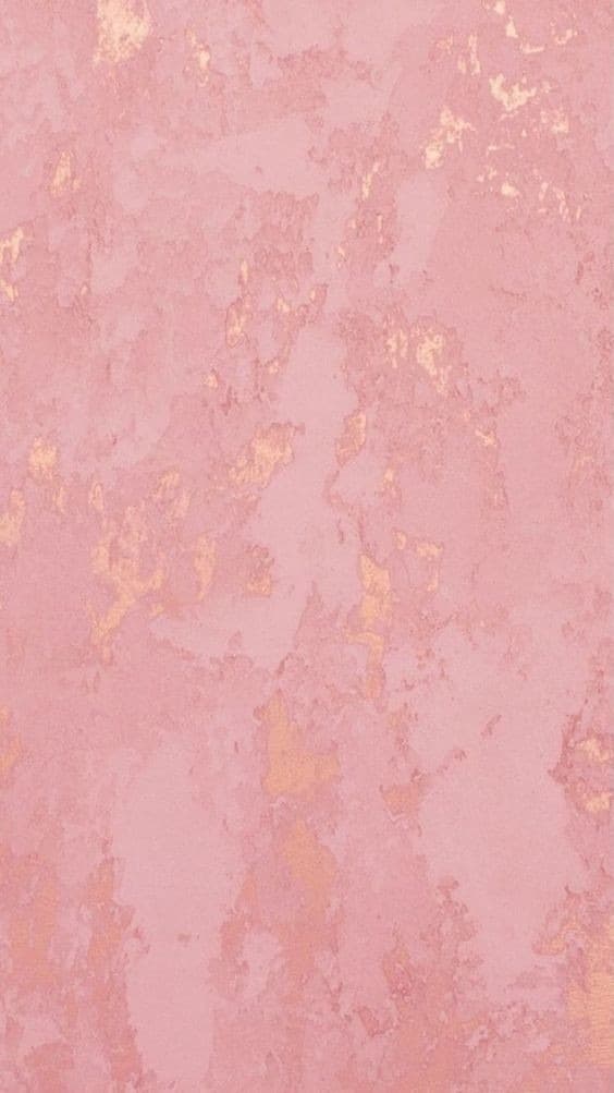 ๐ธSofy๐ธ banner image