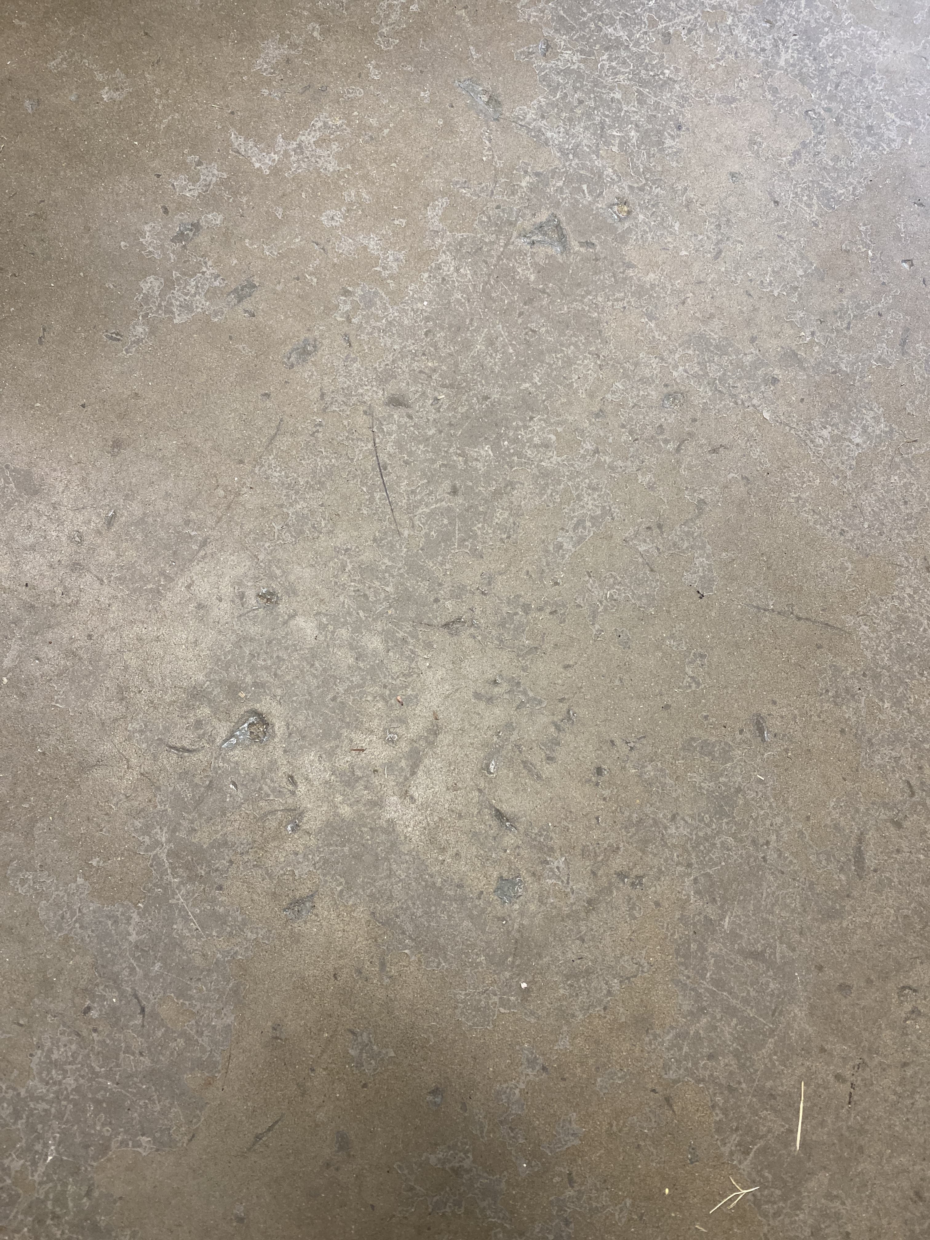 Simply Candid banner image