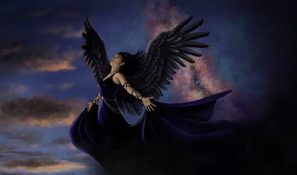 Bj. Nyx banner image