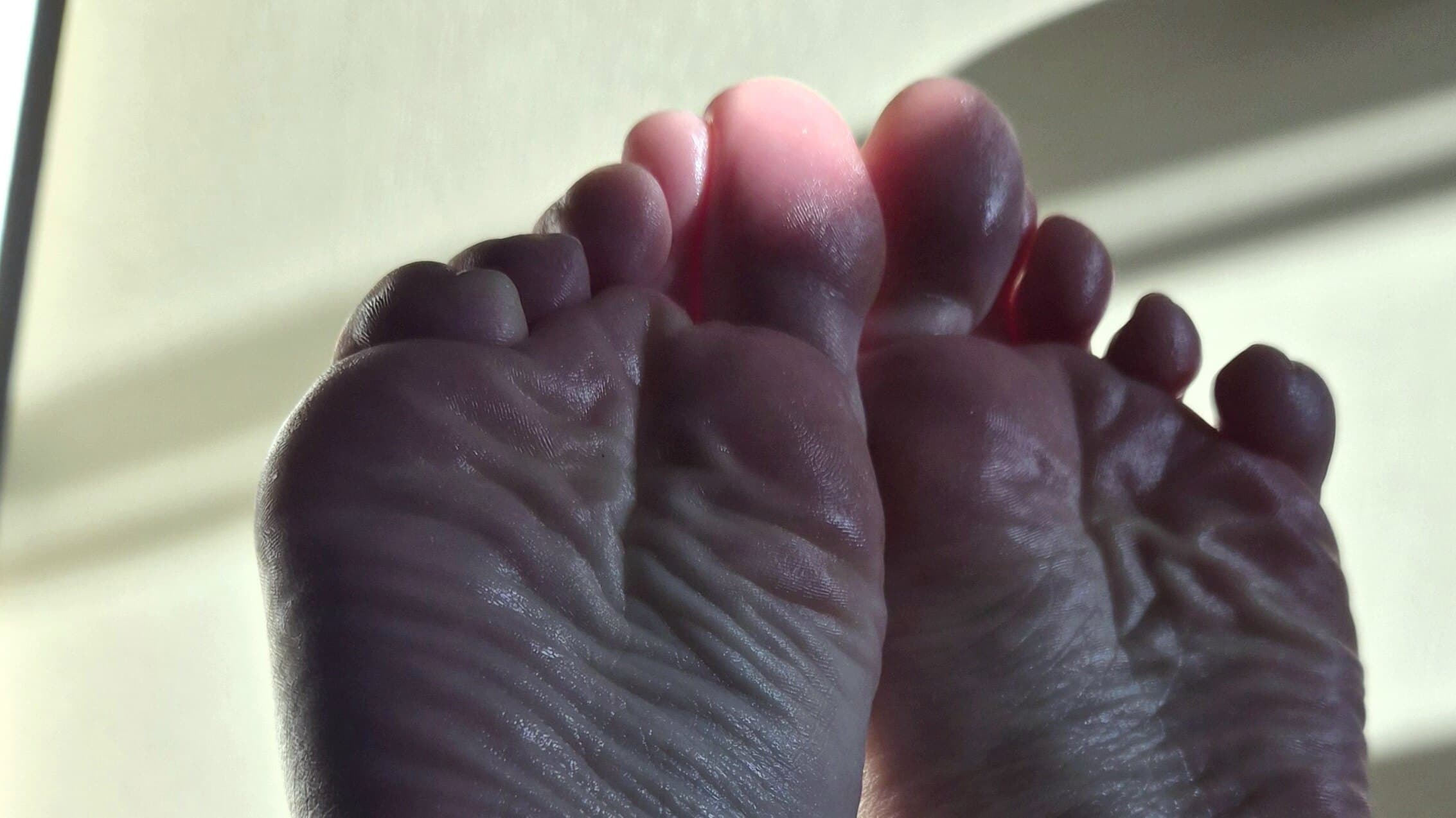 Sienna's Sole banner image