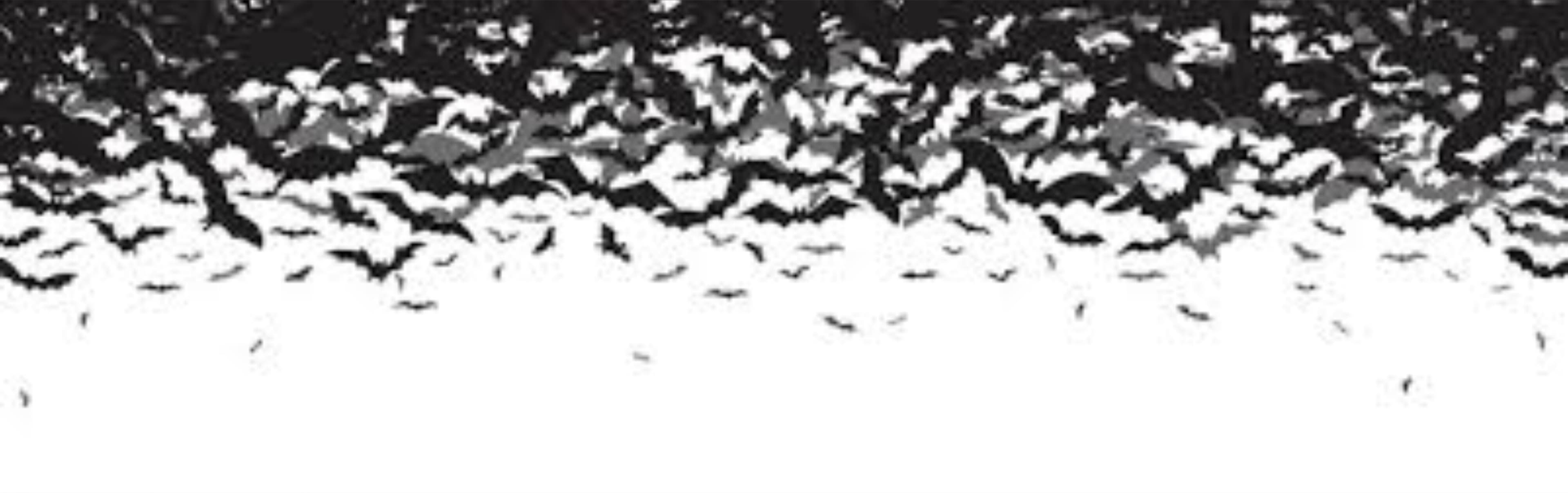 Ix banner image