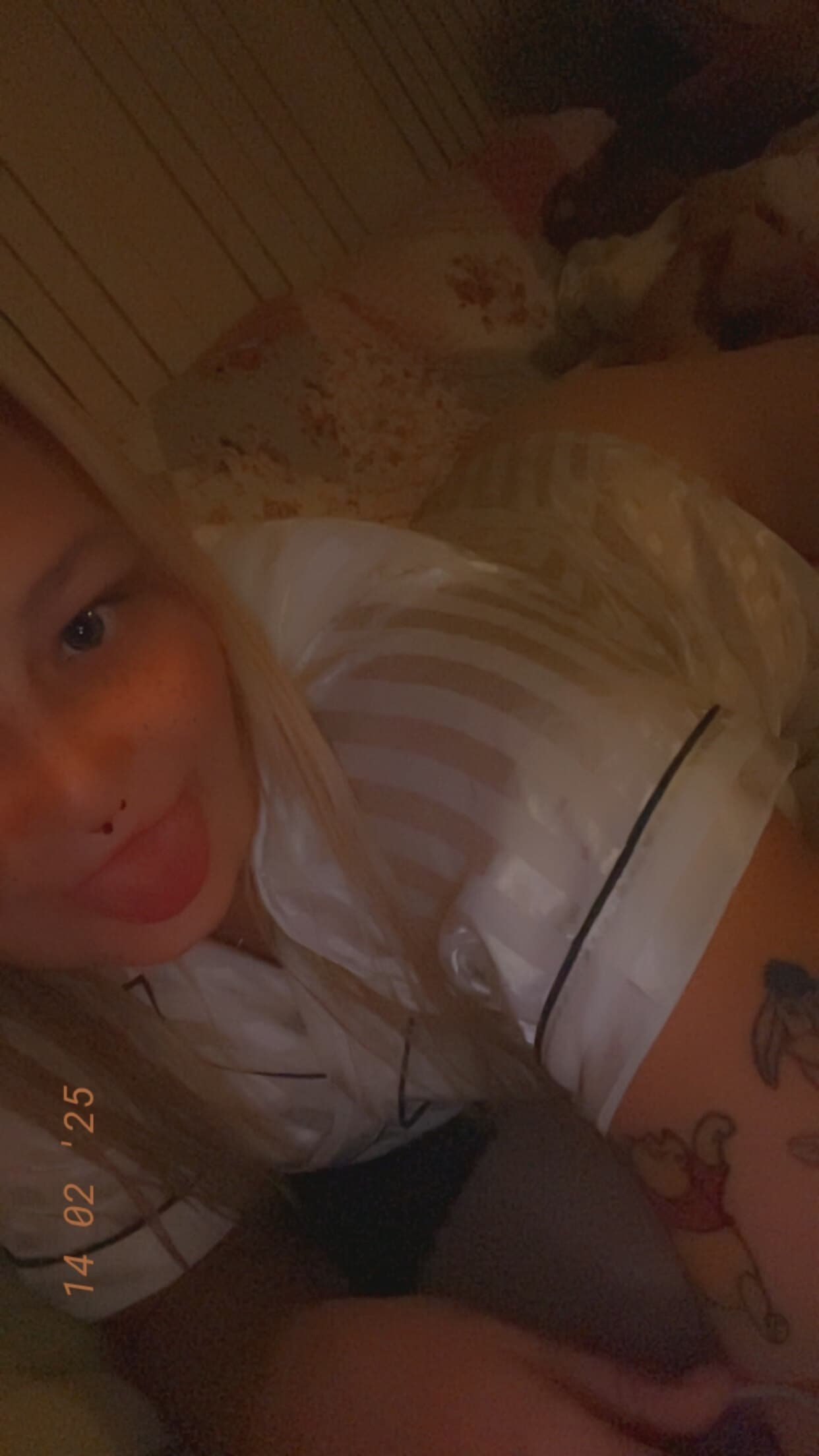 Blondie banner image