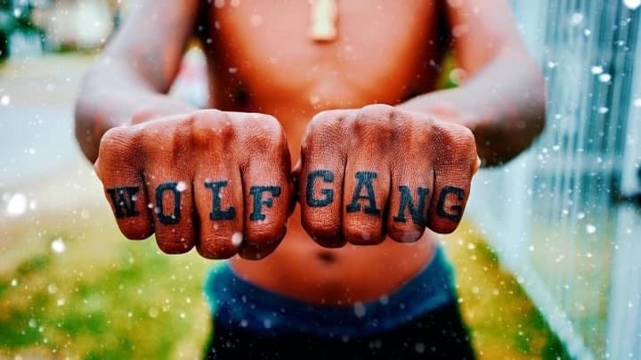 Wolfgang Daniels banner image