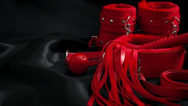 Thelma banner image