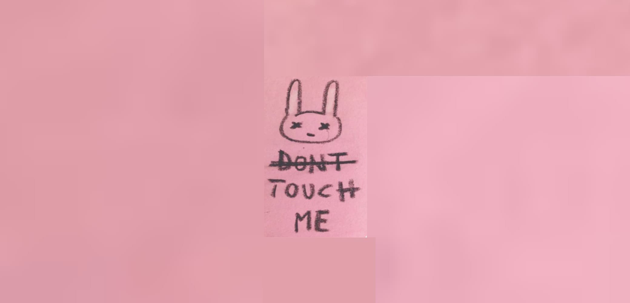 Seiko Neko banner image