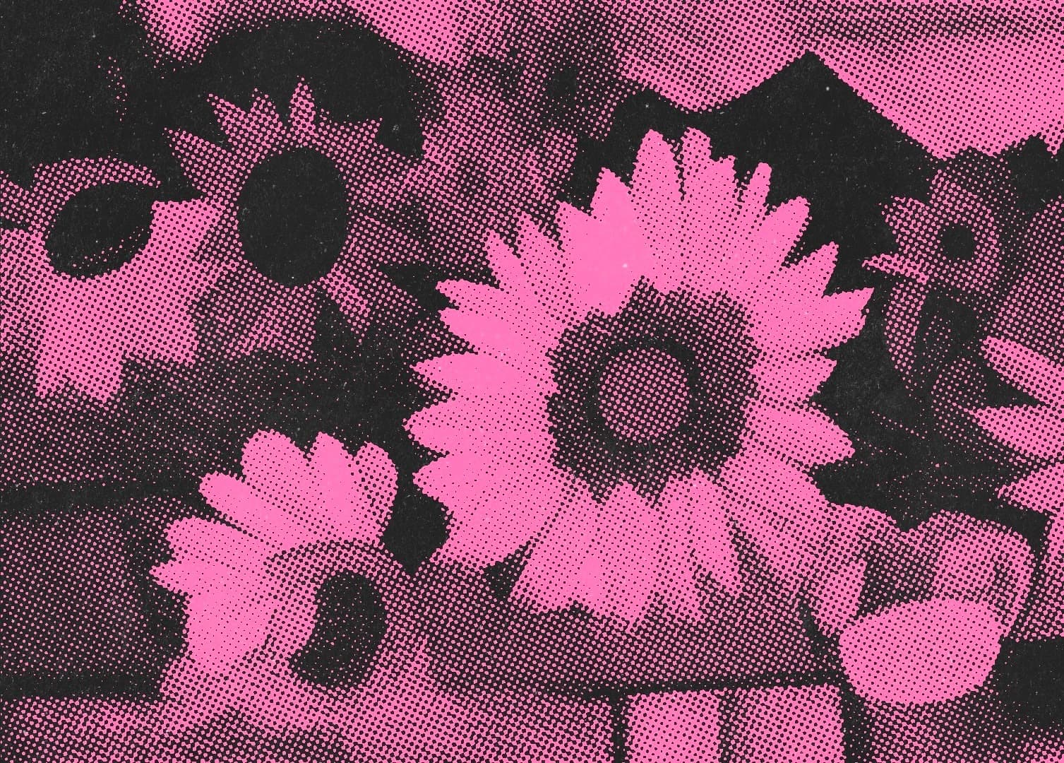 Inez Sunflower banner image