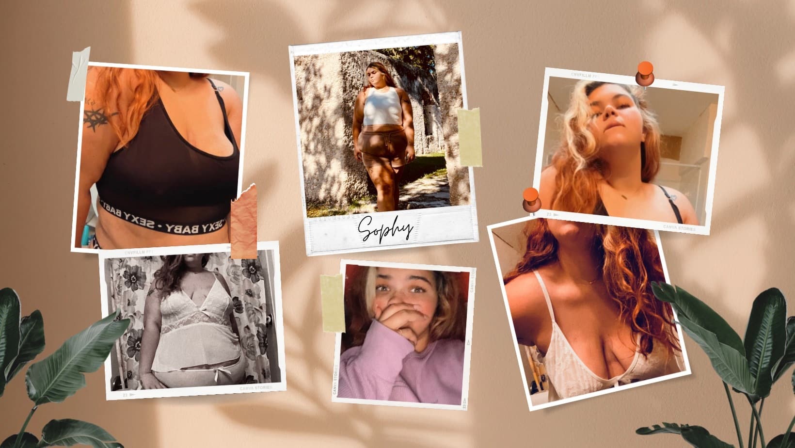 Sophy banner image