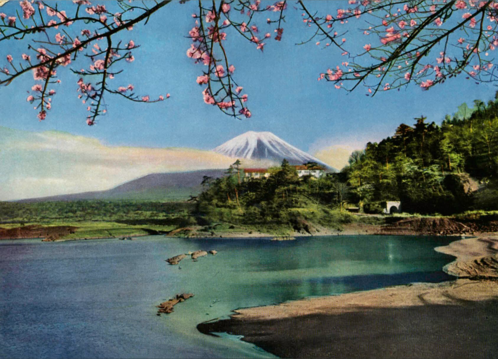 Takeo - Michael banner image