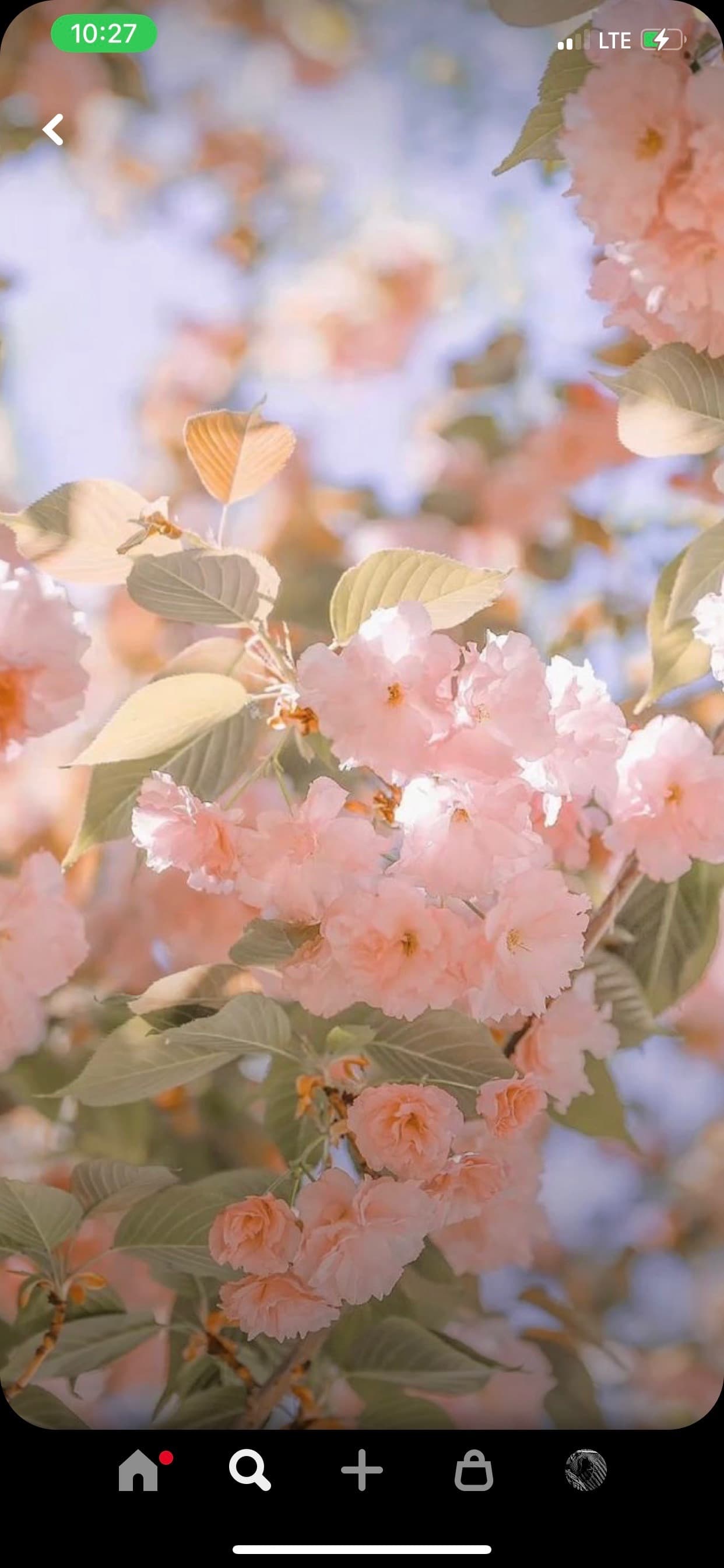 💎🌼Dani•Baby🌼💎 banner image