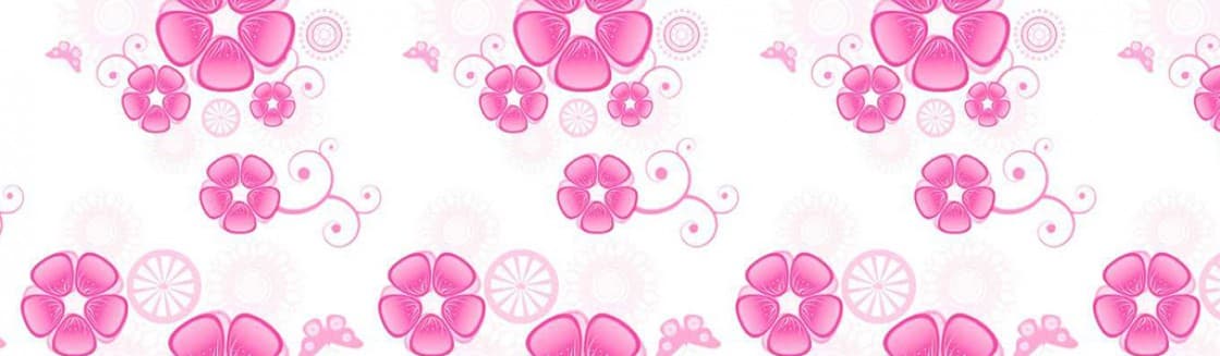 Sarina Valentina banner image