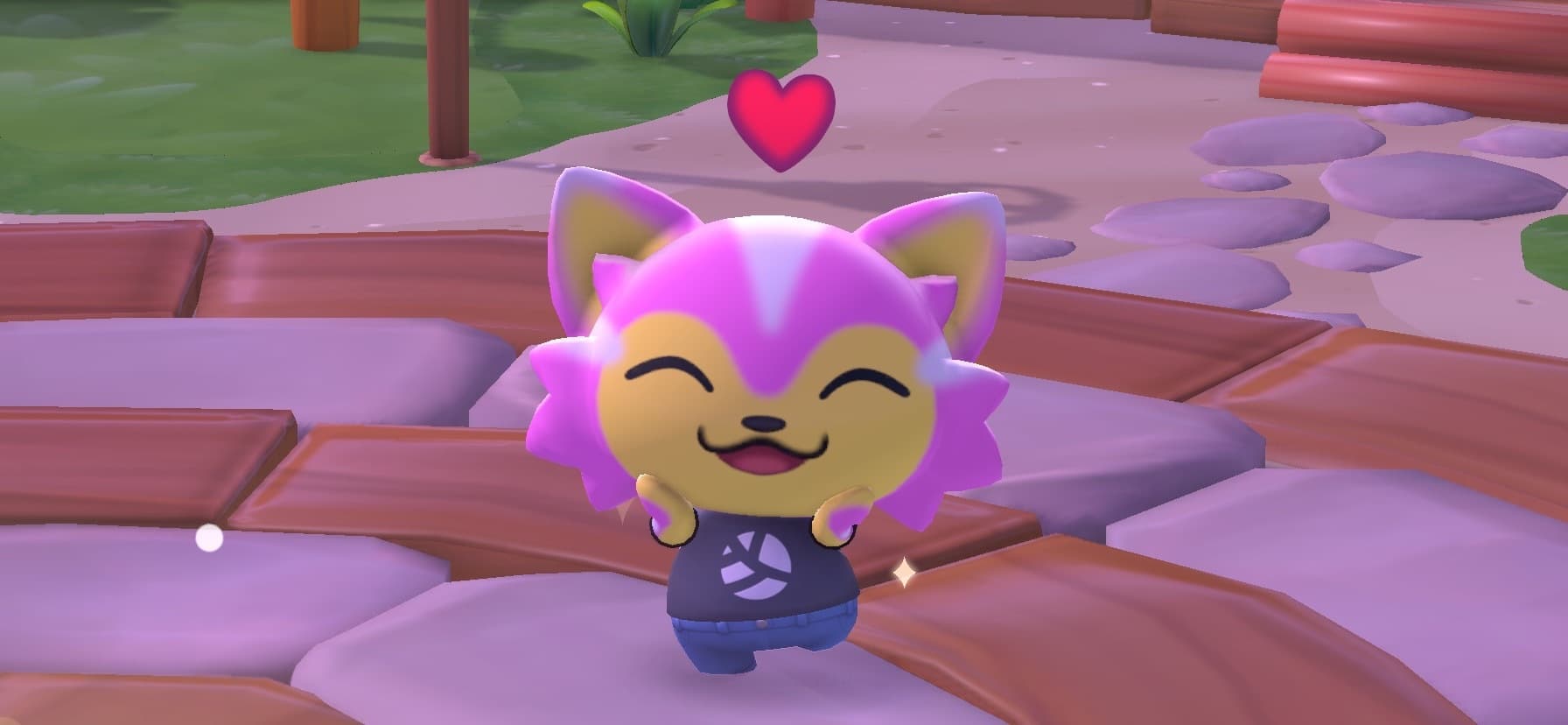Kitty banner image
