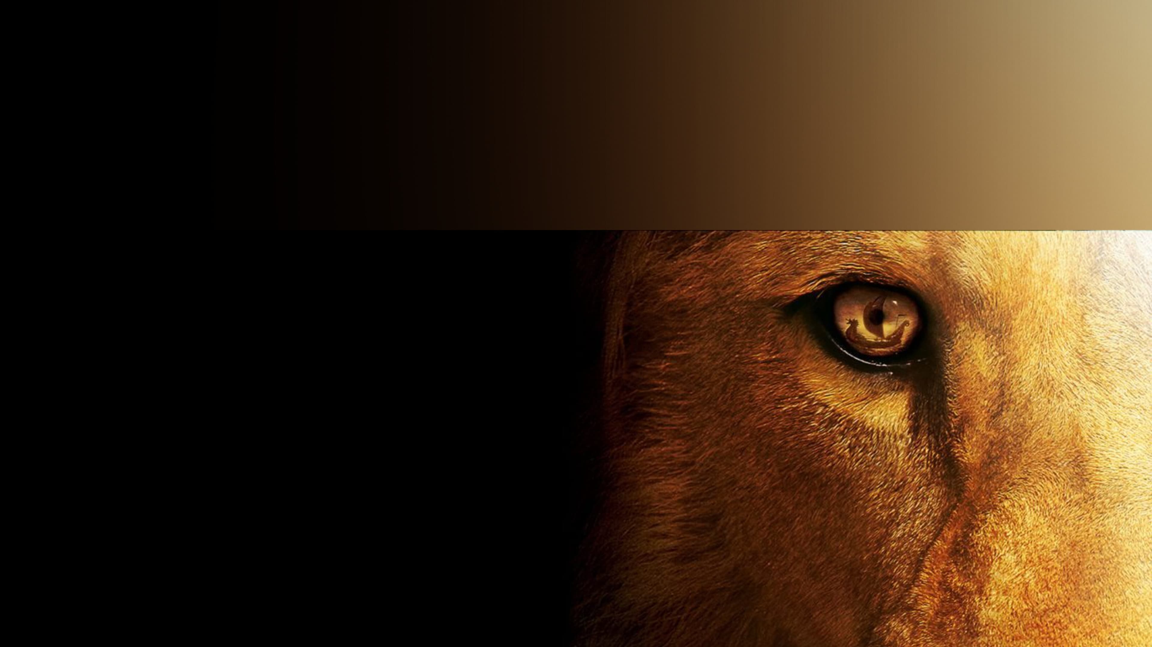 Jay Clark banner image
