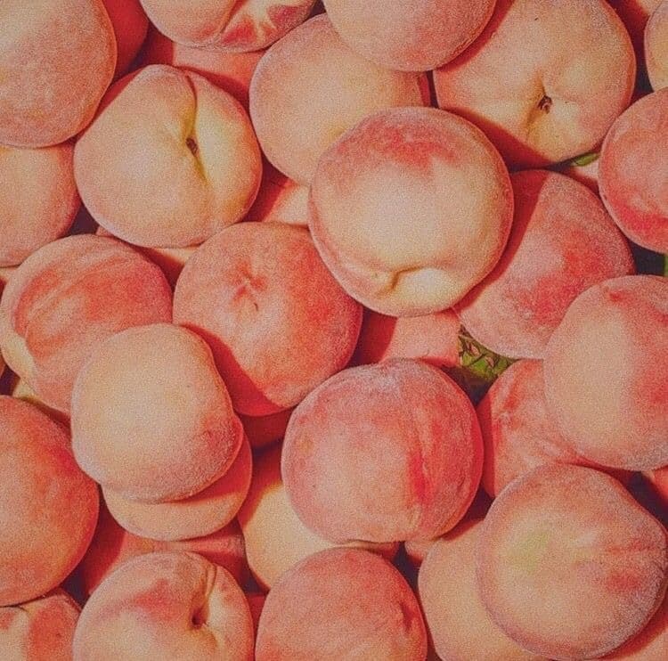 PeachyKellyAnn banner image