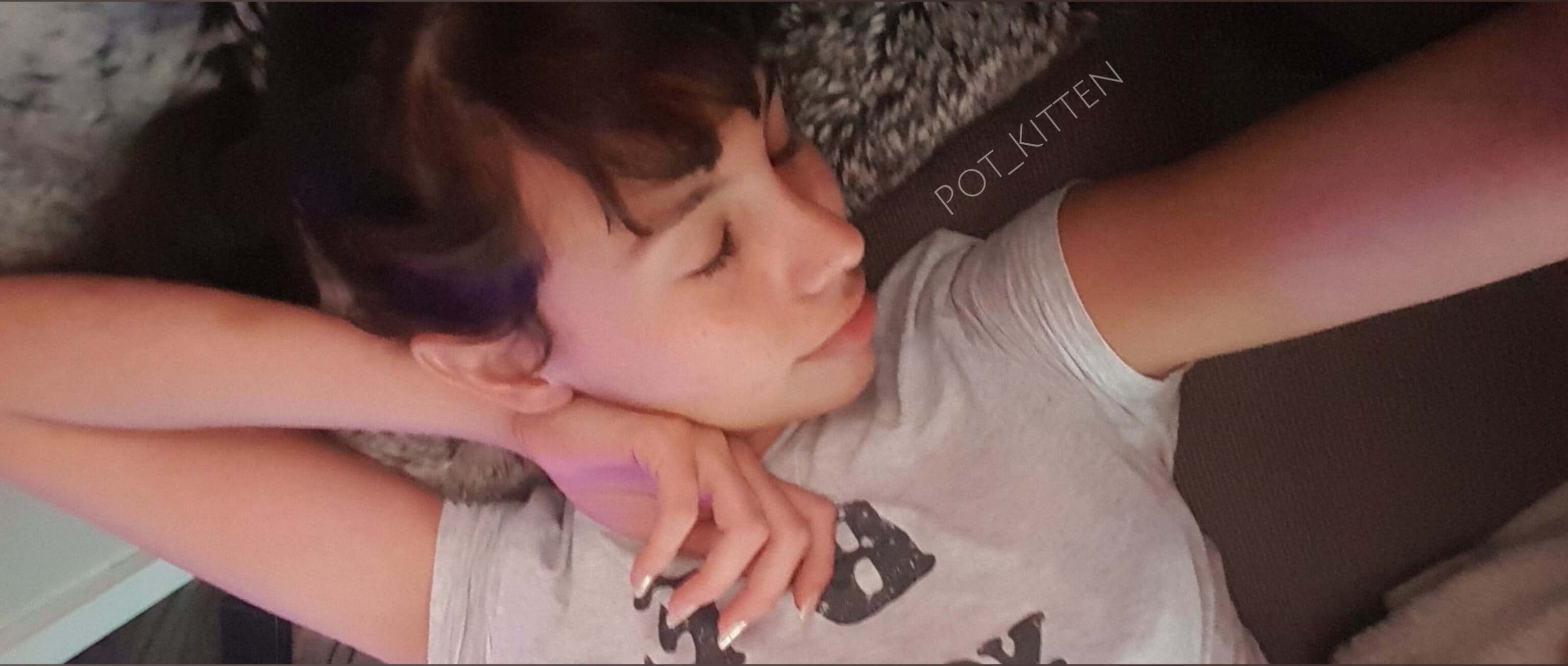 Kitten π VIP banner image