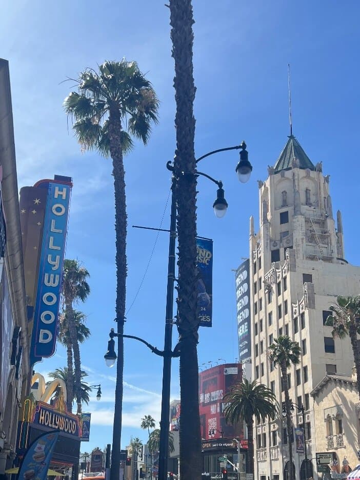 Leon Nior banner image