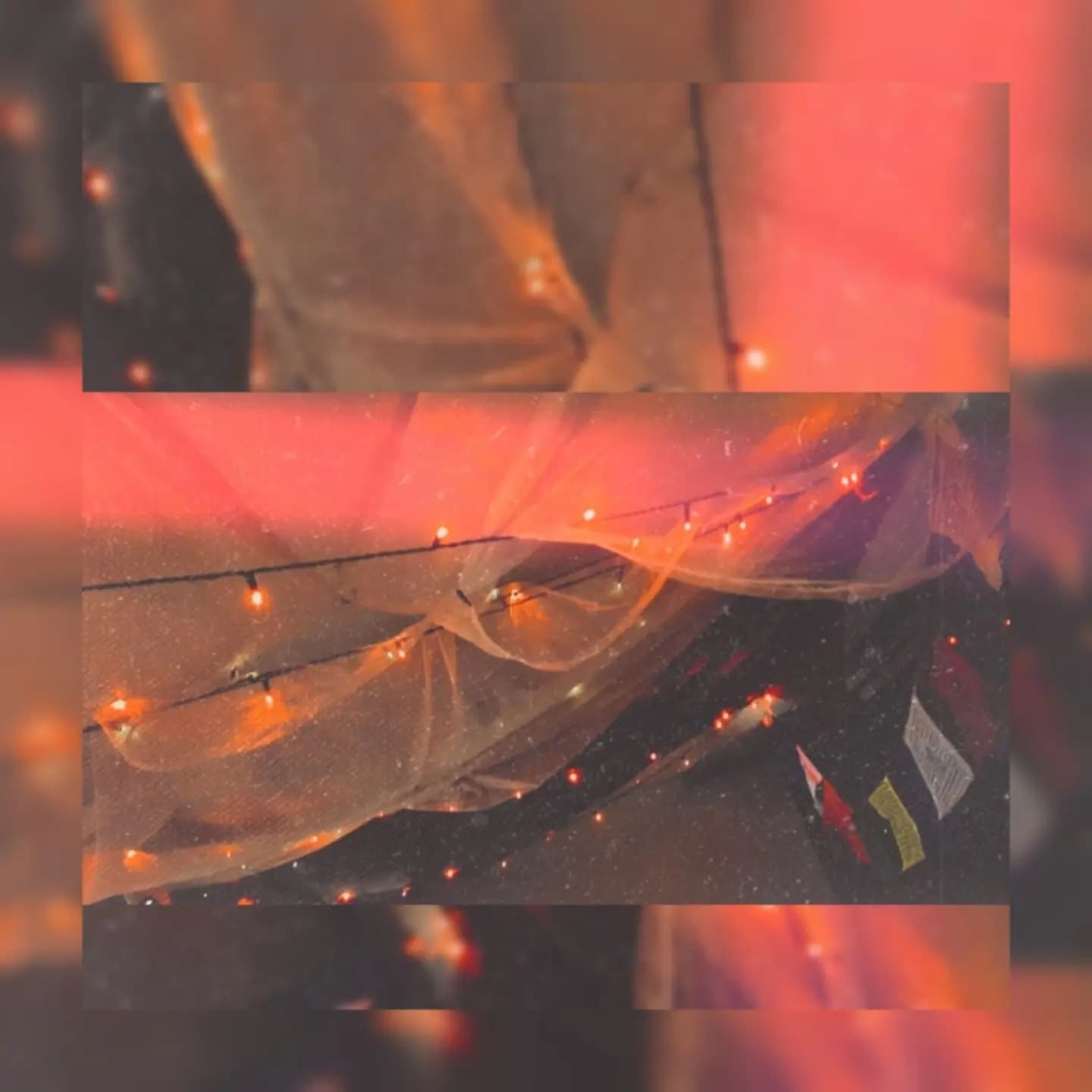 🦖✨ banner image