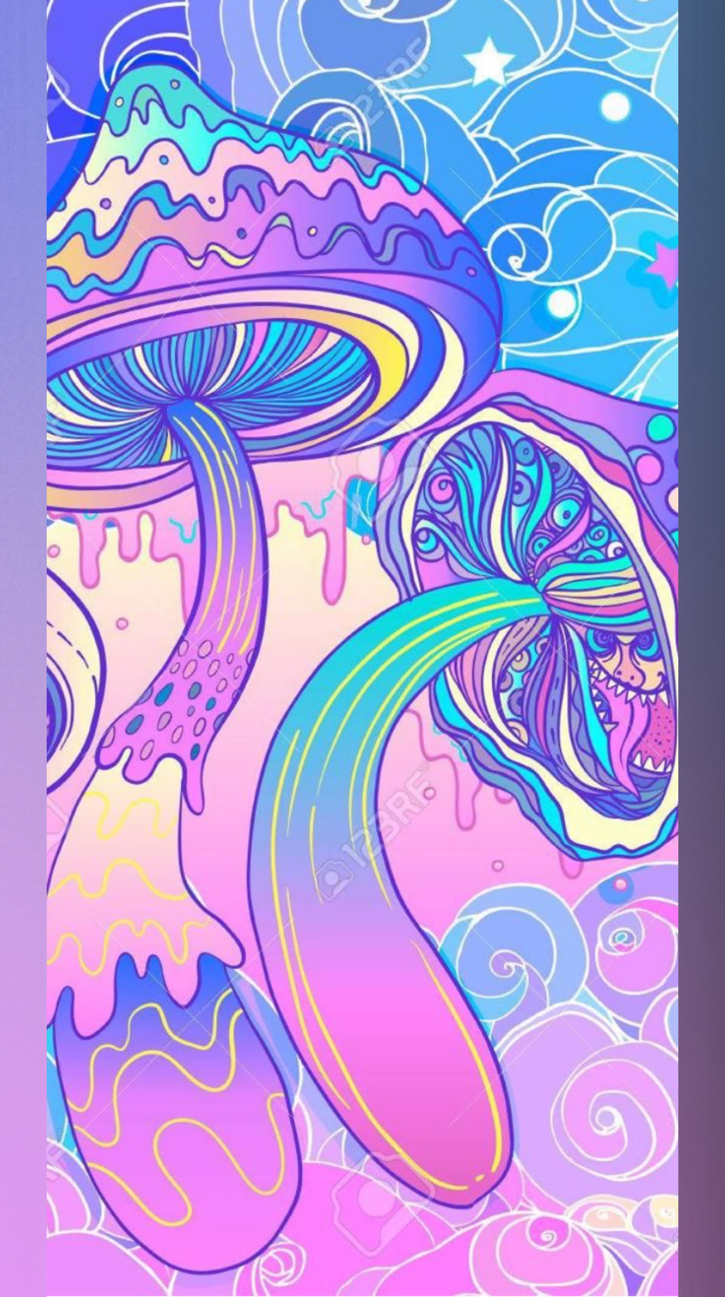 FacelessCurvz banner image