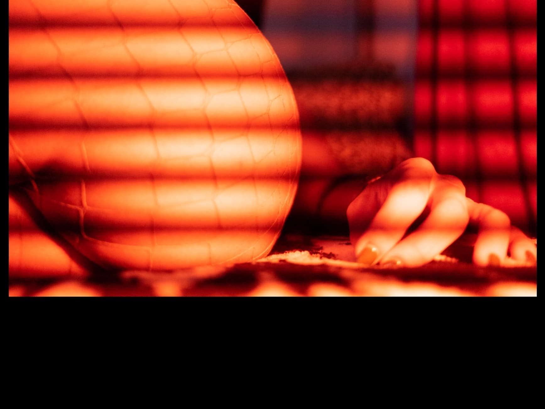 Amazzone banner image