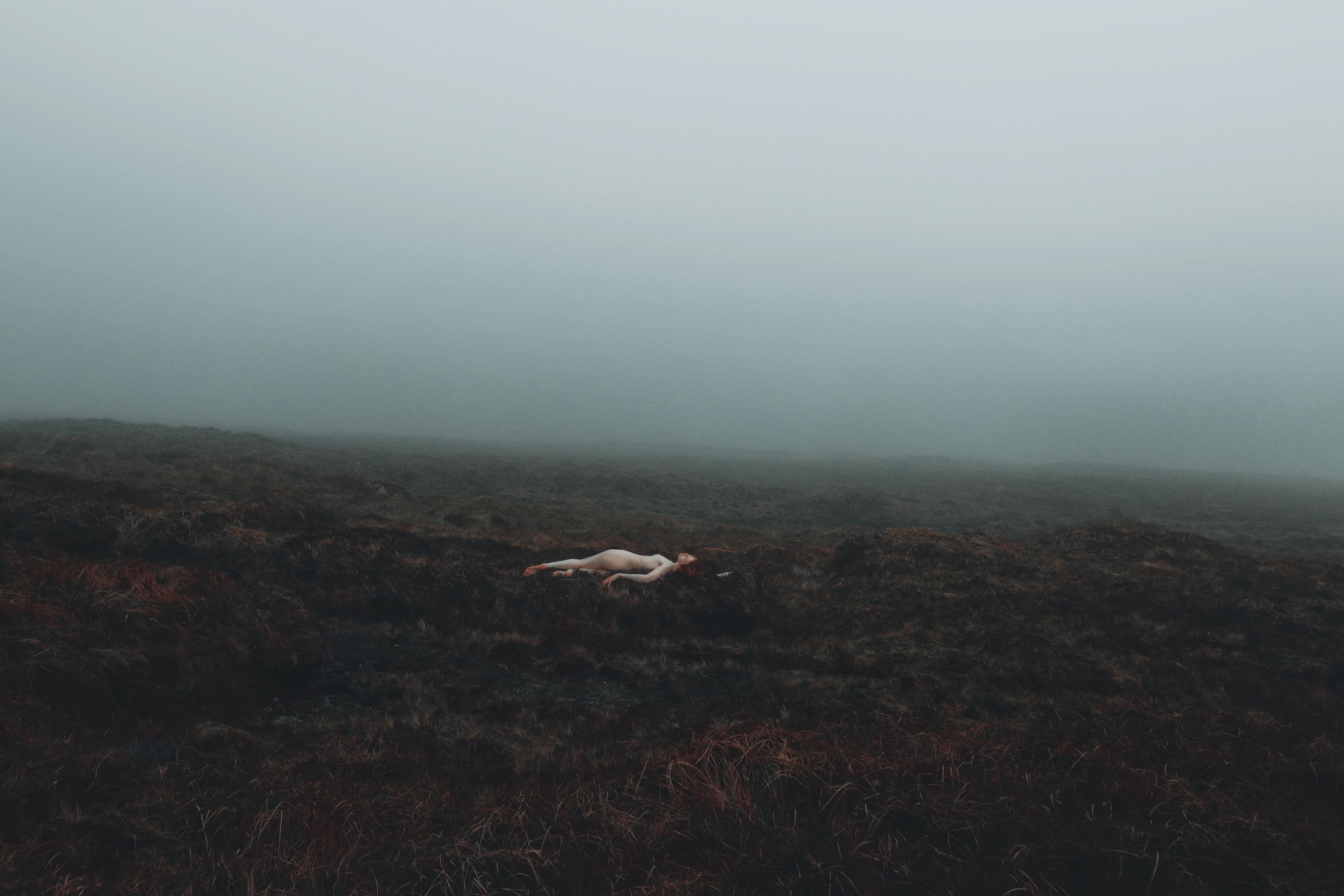 HEL | FREE banner image