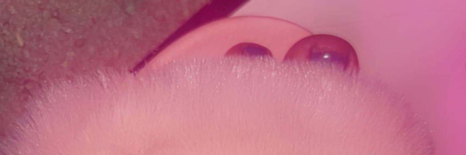 GoddessDreamy banner image