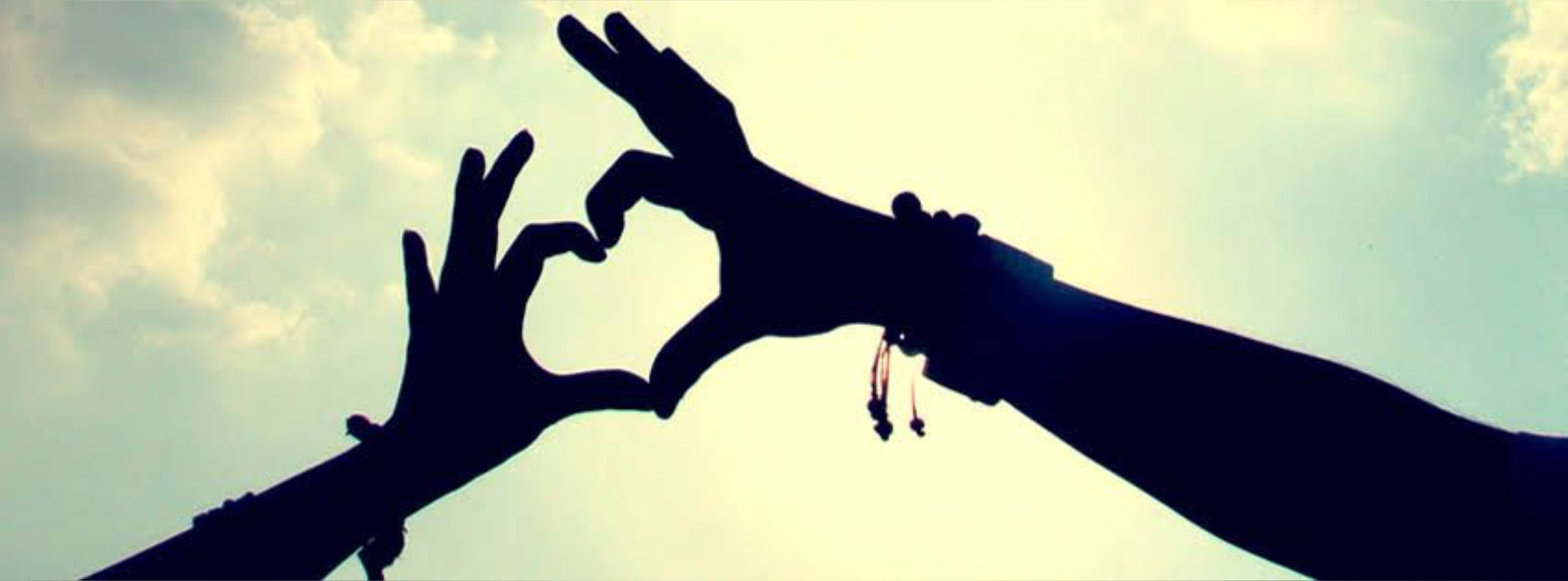 Brenda fox banner image