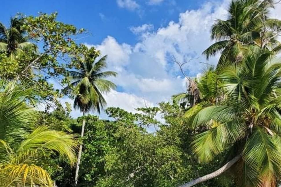 LatinaNoFace69 banner image